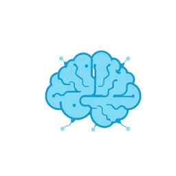 AI Expertise